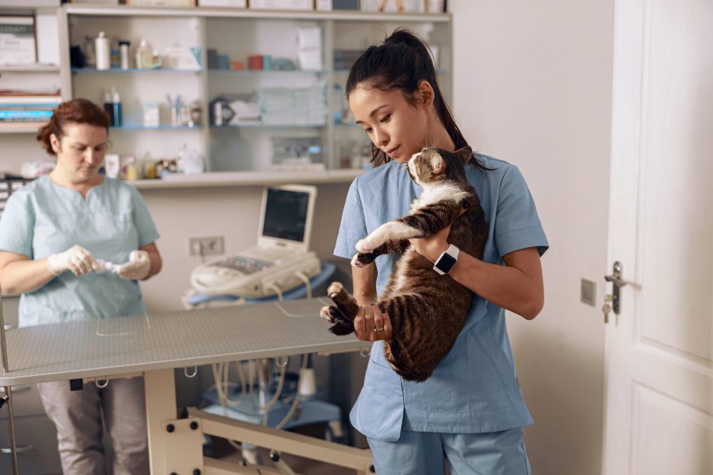 Essential Maintenance Tips for Your Veterinary Ultrasound Machine
